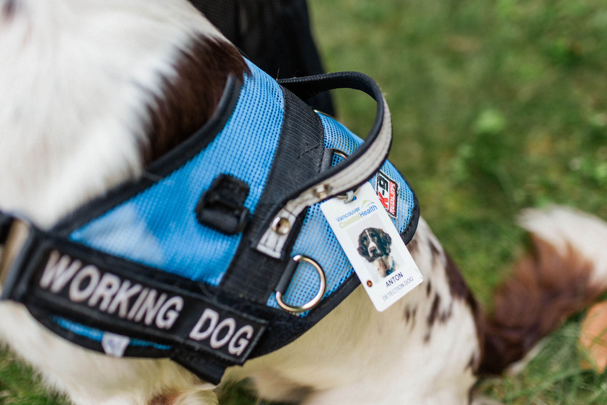Canines for Care Program