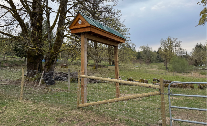 Barn Swallow Relocation Project