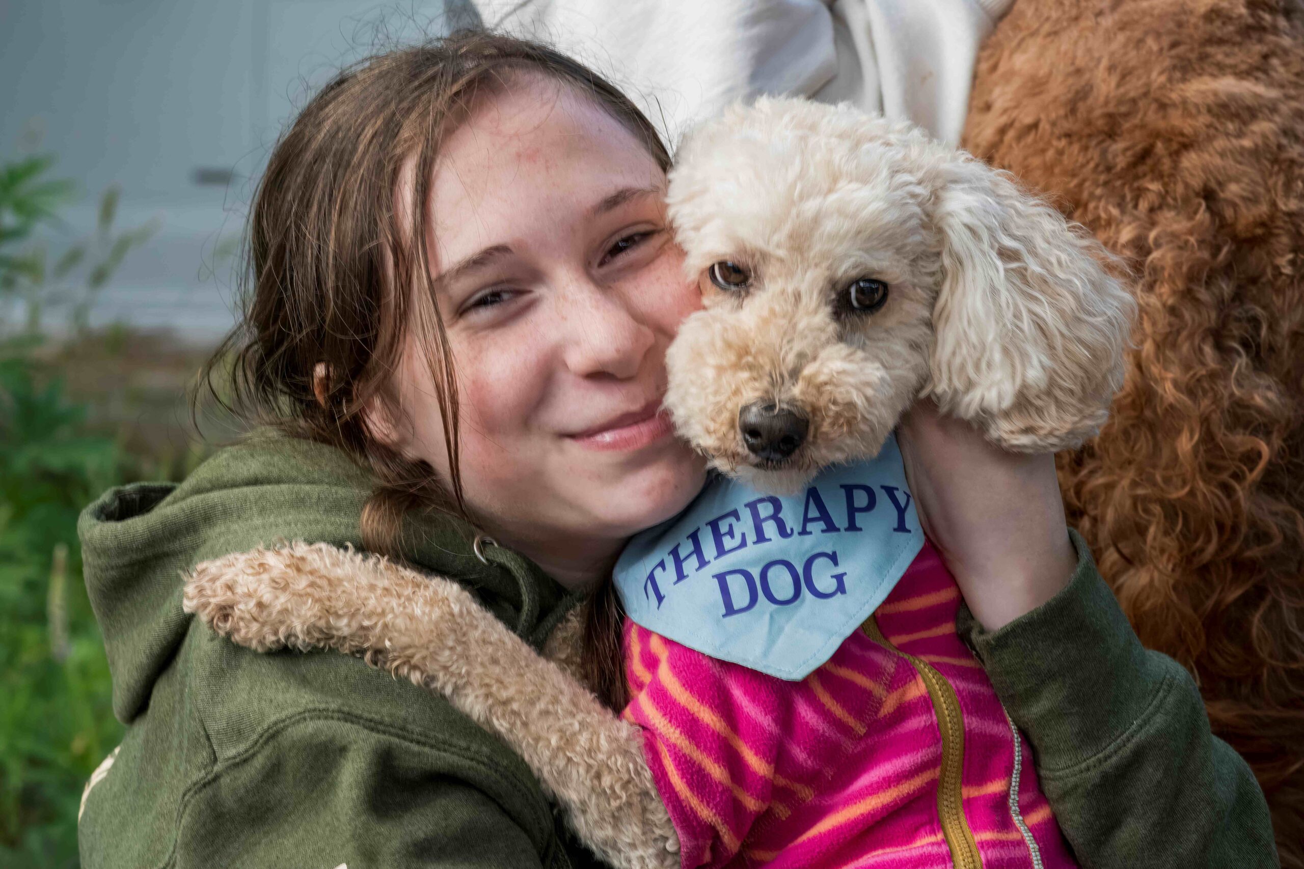 Helping Grieving Children and Youth Find Connection, Hope, and Healing